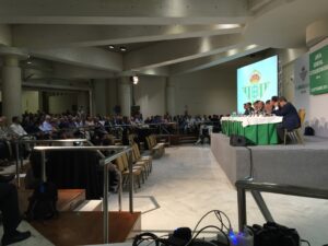 asamblea betis 2015