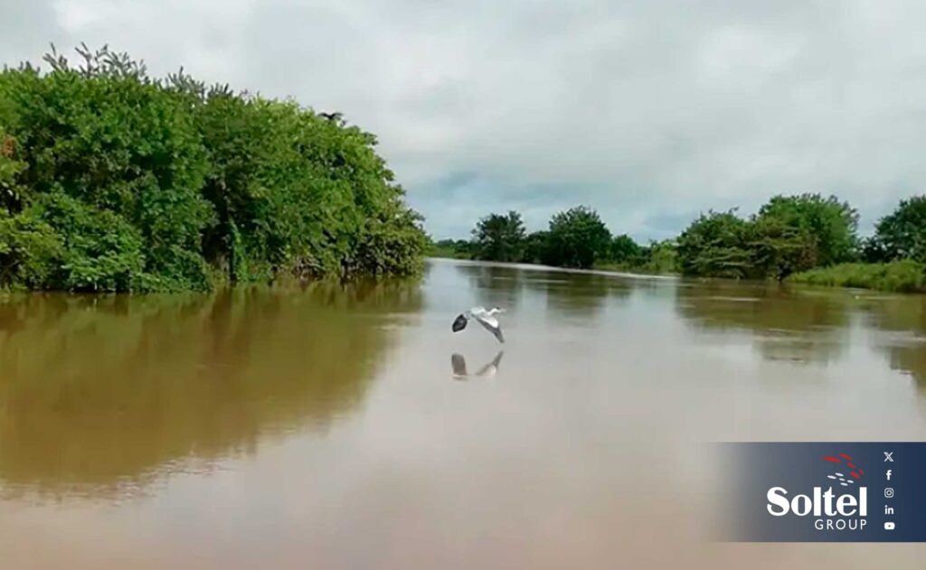 Eco-SmartNet para la gestión inteligente de humedales en Colombia